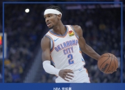 乐动体育登录-北美6大体育联盟最高薪:亚历山大7130万WNBA25.2万的简单介绍