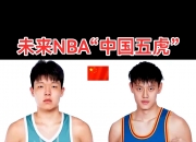 乐动体育在线-杨瀚森对比NBA和CBA身体对抗：这边比较文明
